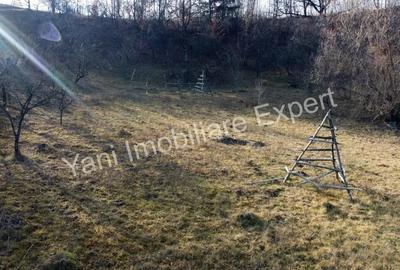 Teren în Cicănești - 6