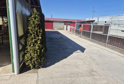 Teren de 4000 mp, în Ișalnița - 6