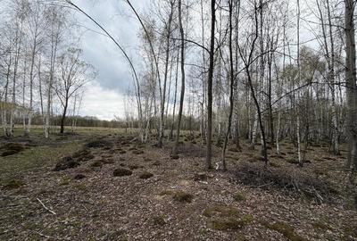 Teren de 15000 mp, în Izvoru - 2