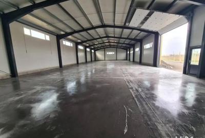 Spațiu comercial, de 600 mp, în Aurel Vlaicu