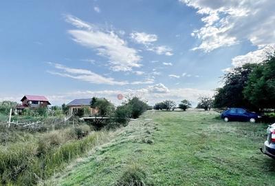 Teren Extravilan - 10