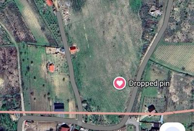 Spațiu comercial, în Central - 3