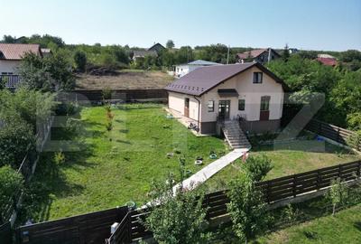 Casa plan parter, 800 mp teren, Tomesti