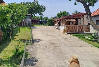 Casă cu 3 camere în Bejan - 1