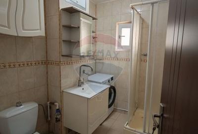 Apartament cu 2 camere decomandat, mobilat în Brazda lui Novac - 11