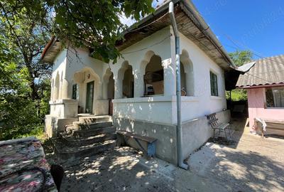 Casă cu 4 camere cu Teren 3600 Mp în Ciovârnășani - 1