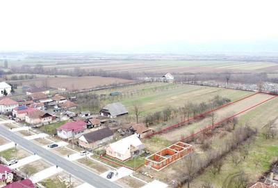 Casă cu 3 camere decomandat cu Teren 4748 Mp în Pomi - 17