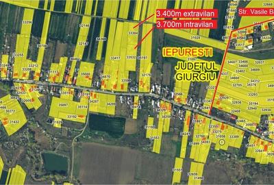 Teren de 7100 mp, în Iepurești - 5