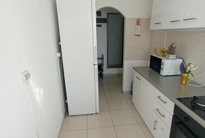 Apartament cu 2 camere semidecomandat, mobilat în Podu Roș - 7