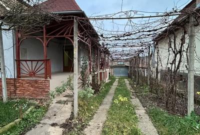 Casă în Viișoara - 5