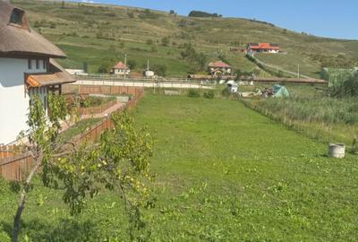 Casă cu 2 camere în Sic - 1