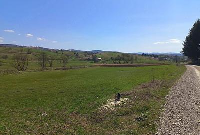 Teren de 2425 mp, în Barcani - 1