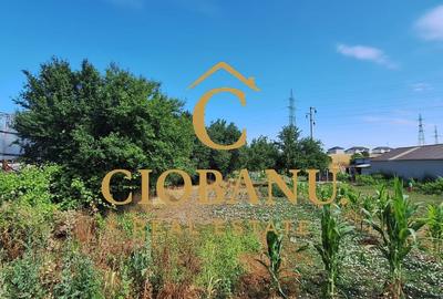 Teren intravilan de vanzare in Isalnita - 9