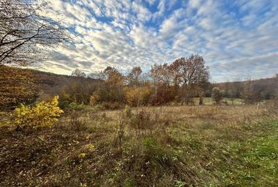 Teren Construcții intravilan de 3800 mp, în Făget