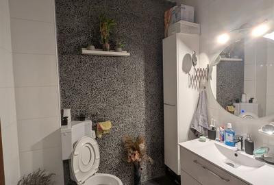 Apartament cu 3 camere semidecomandat în Mogoșoaia - 1