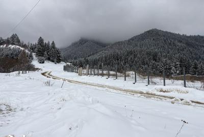 Teren de 580 mp, în Turcheș - 3