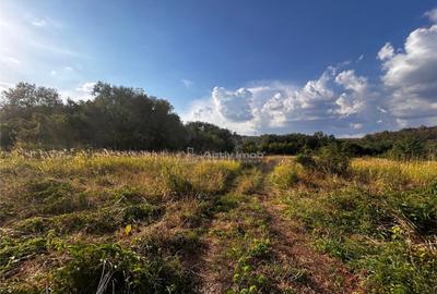 Bocsa Teren 9400 Mp Intravilan - 7