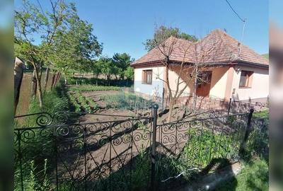 Casă cu 2 camere cu Teren 7000 Mp în Ploscoș - 10