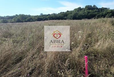 Teren Construcții intravilan de 7500 mp, în Sud-Est - 6