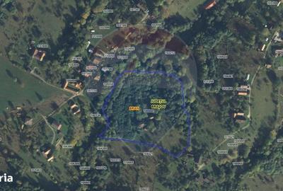 Spațiu comercial, în Predeluț