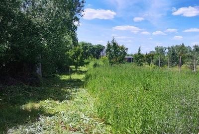 Casă cu 2 camere în Cheșa - 6