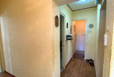 Apartament cu 3 camere decomandat în Valea Rosie - 6