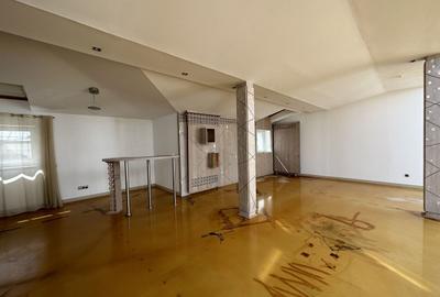 Casă individuală cu 26 camere cu Canalizare în Grădina Icoanei - 21