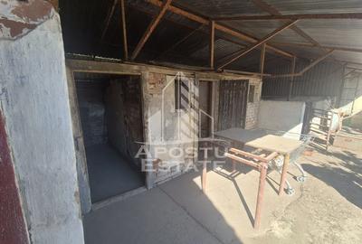 Casă individuală cu 5 camere cu Canalizare în Teremia Mare - 15
