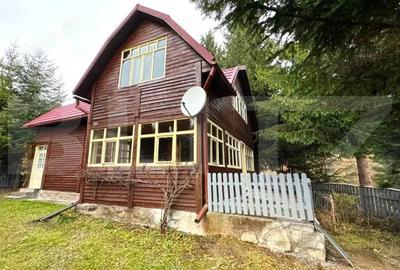 VAND CASA DE VACANTA LA COLIBITA, CU VEDERE SPRE LAC - 5