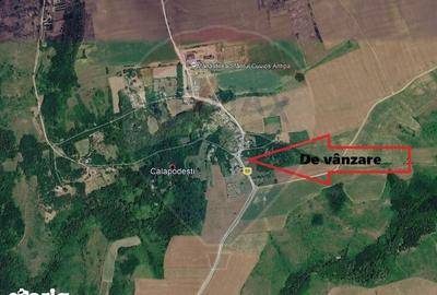 Teren de 5410 mp, în Dealu Morii - 3