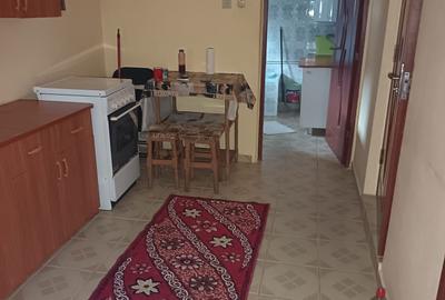 Casă cu 3 camere în Conduratu - 4