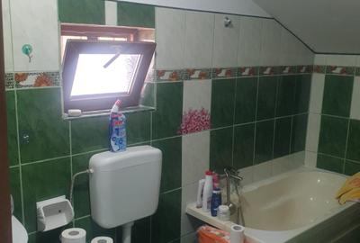 Casa individuala Valu lui Traian - 13