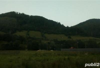 Teren de 2000 mp, în Rucăr - 4