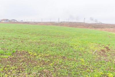 CERNICA - POSTA - TEREN INTRAVILAN CONSTRUCTII 15000 MP! - 11