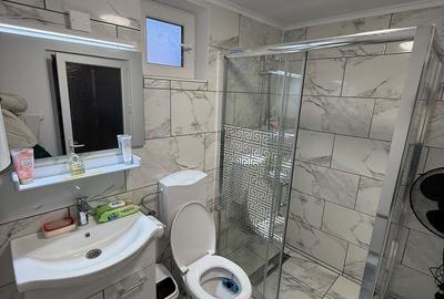 Casă cu 4 camere în Secăria - 8