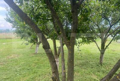 Teren extravilan 10 ari cu Cabana de 45 mp - 9