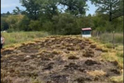 Teren Construcții intravilan de 545 mp, în Padeș - 3