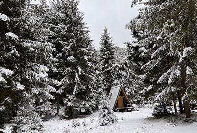 Spațiu comercial, în Vale - 2
