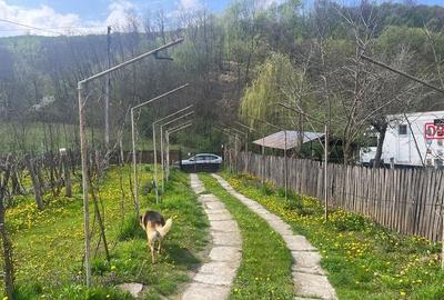 Casă cu 3 camere cu Teren 2654 Mp în Central - 1