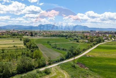 Teren agricol extravilan de 25100 mp, în Prejmer - 13