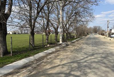 Teren de 130000 mp, în Armeni - 6