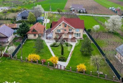 Casă cu 5 camere cu Teren 3659 Mp în Sărata - 8