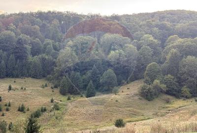 Teren agricol intravilan de 2050 mp, în Poiana Brașov - 6