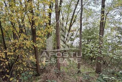 Teren Intravilan Cuied 3260 mp - 1