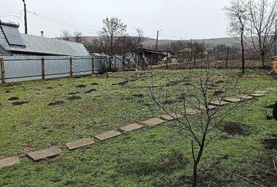 Casă cu 3 camere cu Teren 2030 Mp în Chiraftei - 4