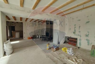 Proprietate premium, intimitate, liniste in Gura Vaii 4000 mp teren - 11