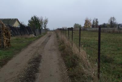 Teren Construcții extravilan de 3400 mp, în Sud - 1