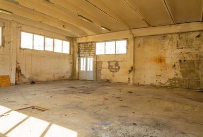 Spațiu comercial, de 212.33000183106 mp, în Unicat - 10