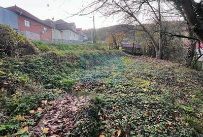 Teren Construcții intravilan de 1001 mp, în Luncă - 2