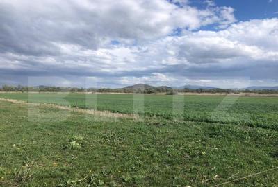 Teren de 50000 mp, în Central